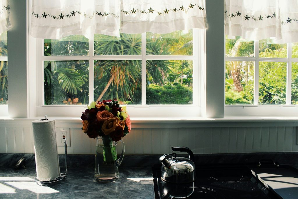 A kitchen window looking out on palms, a kettle on the hob and roses on the counter